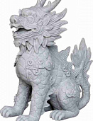    Nobilis Marco Pm-grey3 Dragon